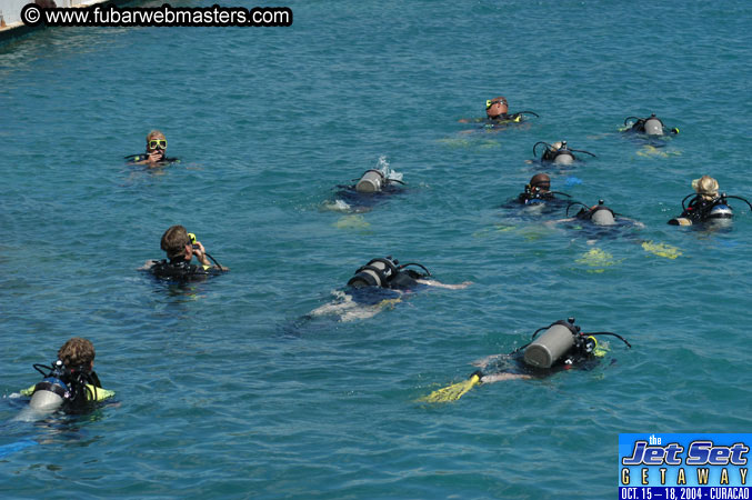 Sunday's Dolphin Swim Adventure and Animal Encounter 2004