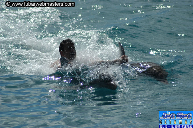 Sunday's Dolphin Swim Adventure and Animal Encounter 2004