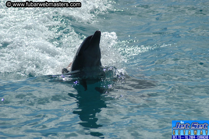 Sunday's Dolphin Swim Adventure and Animal Encounter 2004