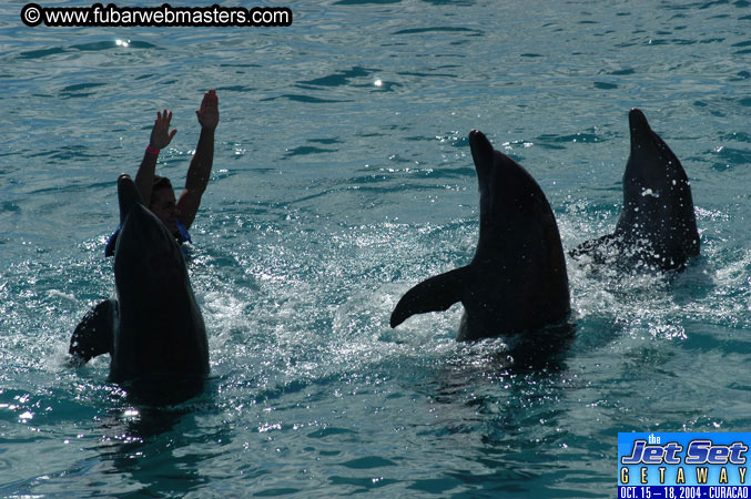 Sunday's Dolphin Swim Adventure and Animal Encounter 2004