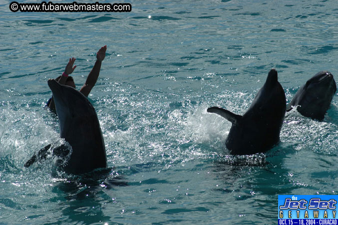 Sunday's Dolphin Swim Adventure and Animal Encounter 2004