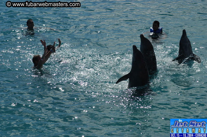 Sunday's Dolphin Swim Adventure and Animal Encounter 2004