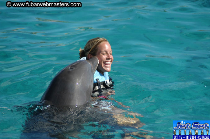 Sunday's Dolphin Swim Adventure and Animal Encounter 2004