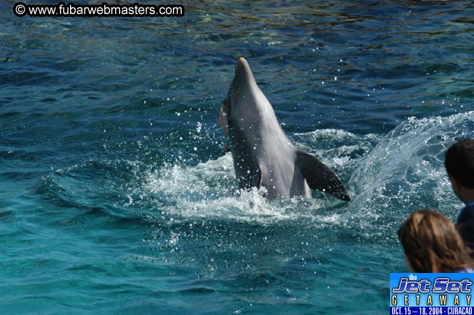 Sunday's Dolphin Swim Adventure and Animal Encounter 2004