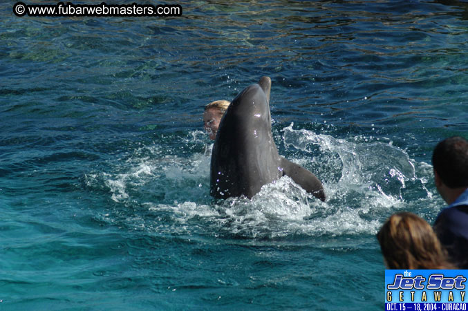 Sunday's Dolphin Swim Adventure and Animal Encounter 2004