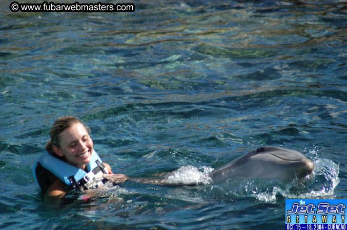 Sunday's Dolphin Swim Adventure and Animal Encounter 2004