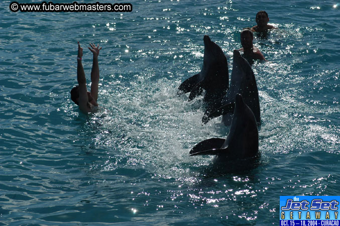 Sunday's Dolphin Swim Adventure and Animal Encounter 2004