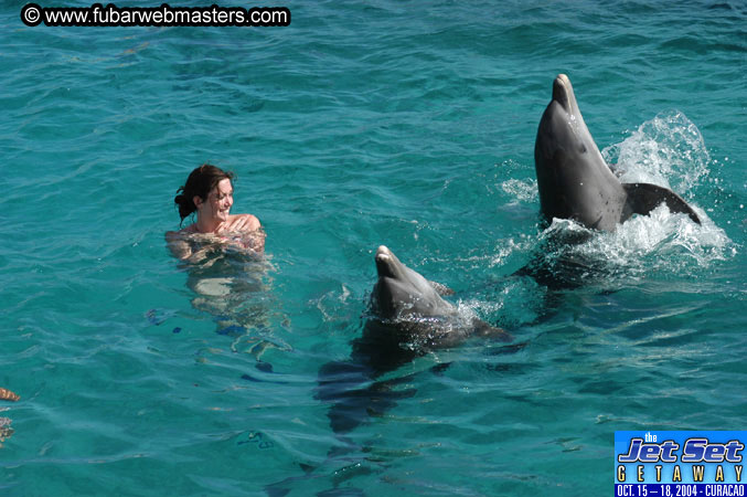 Sunday's Dolphin Swim Adventure and Animal Encounter 2004