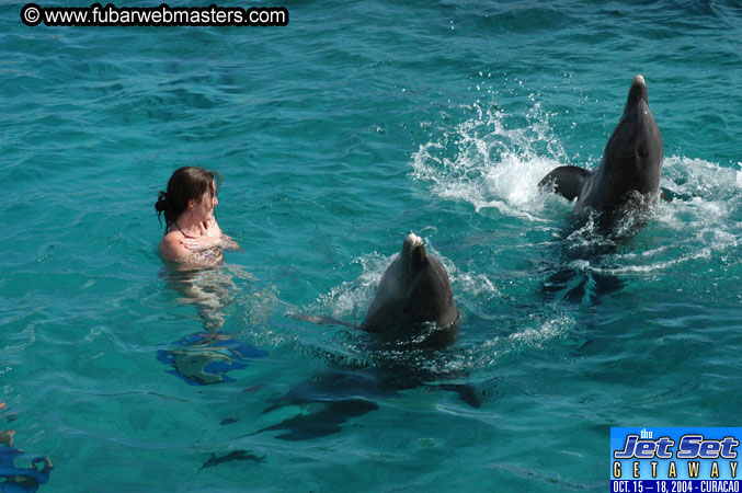 Sunday's Dolphin Swim Adventure and Animal Encounter 2004