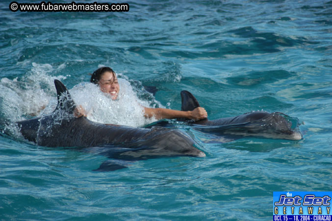 Sunday's Dolphin Swim Adventure and Animal Encounter 2004