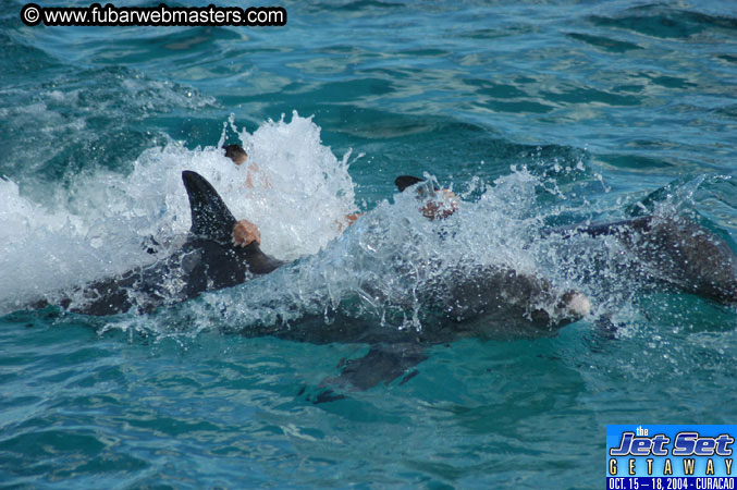 Sunday's Dolphin Swim Adventure and Animal Encounter 2004