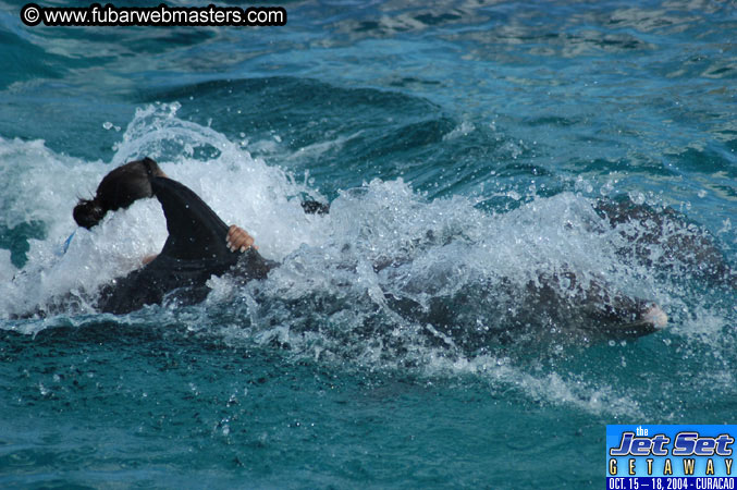 Sunday's Dolphin Swim Adventure and Animal Encounter 2004