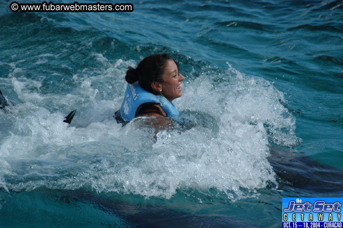 Sunday's Dolphin Swim Adventure and Animal Encounter 2004