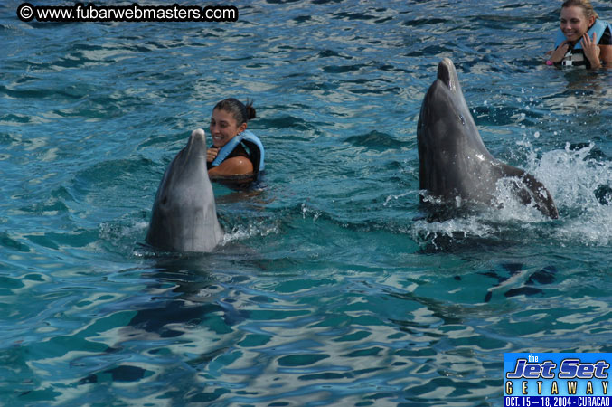 Sunday's Dolphin Swim Adventure and Animal Encounter 2004