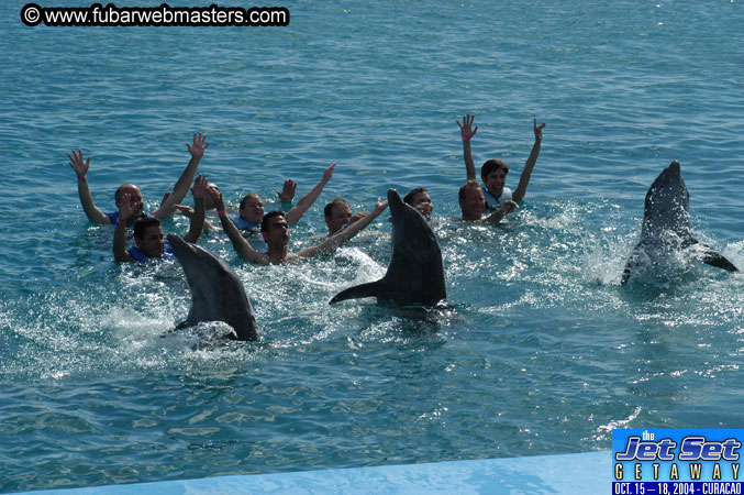 Sunday's Dolphin Swim Adventure and Animal Encounter 2004