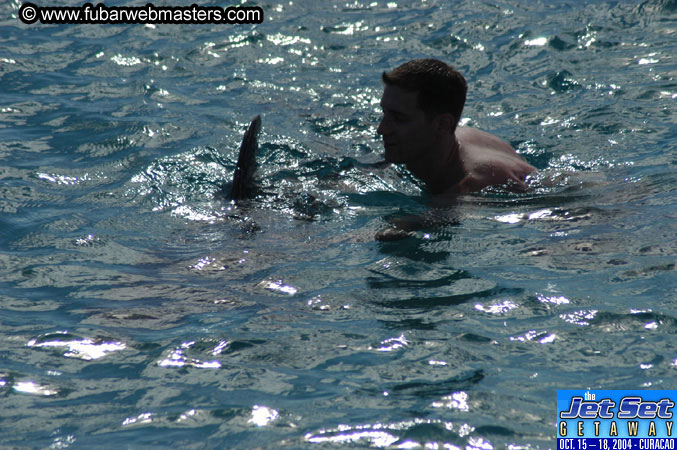 Sunday's Dolphin Swim Adventure and Animal Encounter 2004