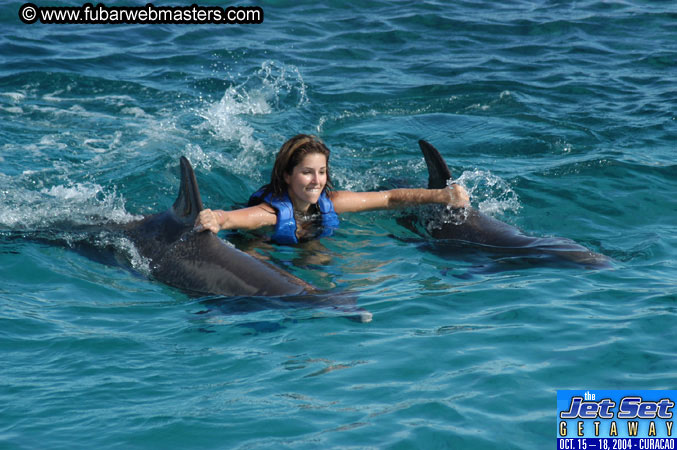 Sunday's Dolphin Swim Adventure and Animal Encounter 2004