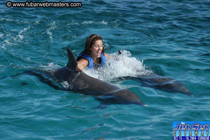 Sunday's Dolphin Swim Adventure and Animal Encounter 2004