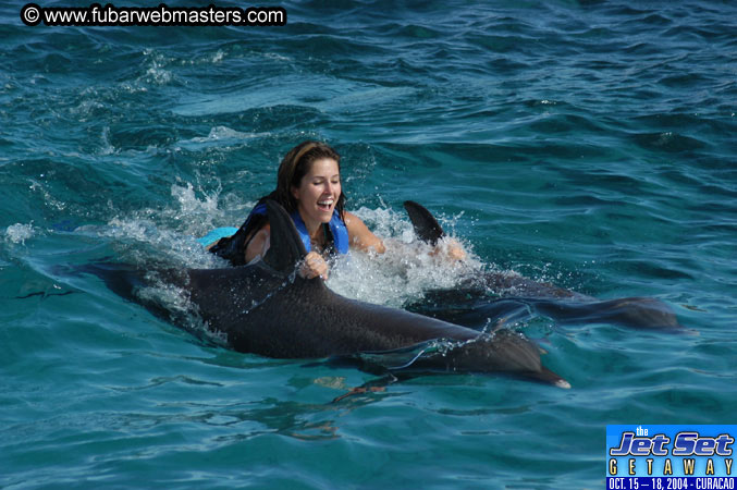 Sunday's Dolphin Swim Adventure and Animal Encounter 2004