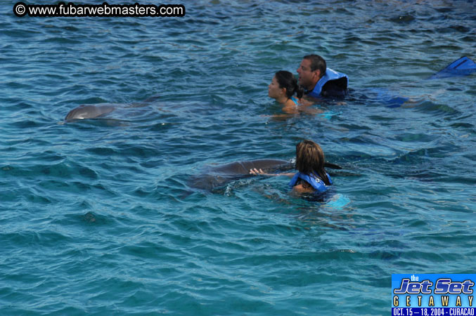 Sunday's Dolphin Swim Adventure and Animal Encounter 2004