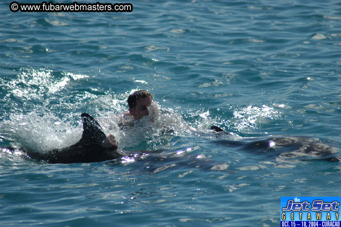 Sunday's Dolphin Swim Adventure and Animal Encounter 2004