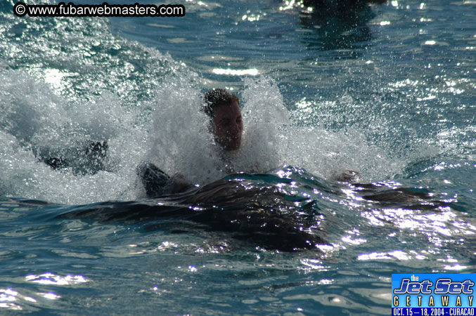 Sunday's Dolphin Swim Adventure and Animal Encounter 2004