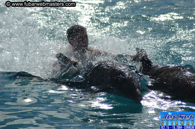 Sunday's Dolphin Swim Adventure and Animal Encounter 2004