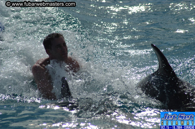 Sunday's Dolphin Swim Adventure and Animal Encounter 2004