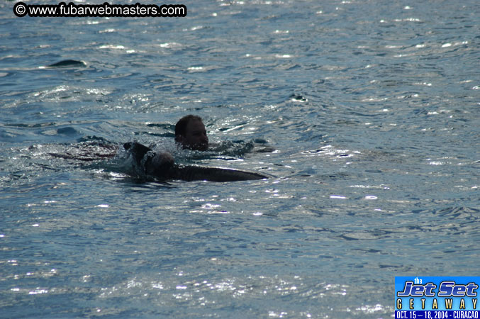 Sunday's Dolphin Swim Adventure and Animal Encounter 2004