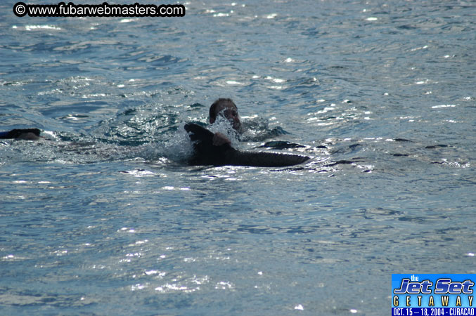 Sunday's Dolphin Swim Adventure and Animal Encounter 2004