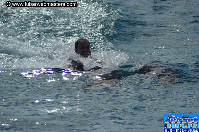 Sunday's Dolphin Swim Adventure and Animal Encounter 2004