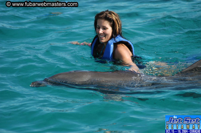 Sunday's Dolphin Swim Adventure and Animal Encounter 2004