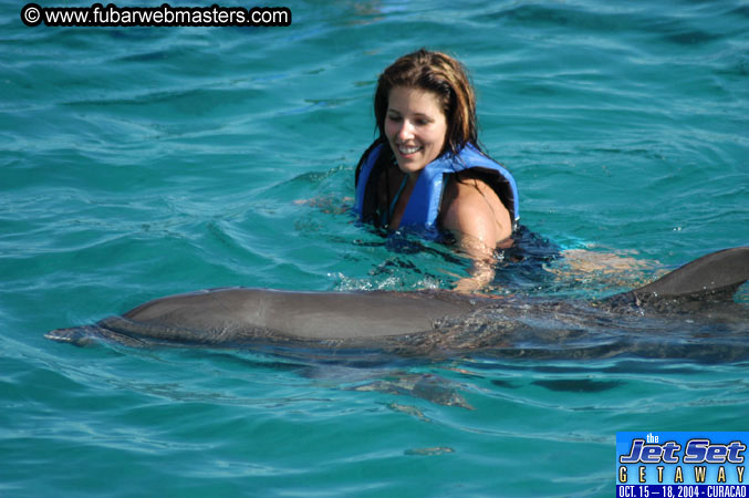 Sunday's Dolphin Swim Adventure and Animal Encounter 2004