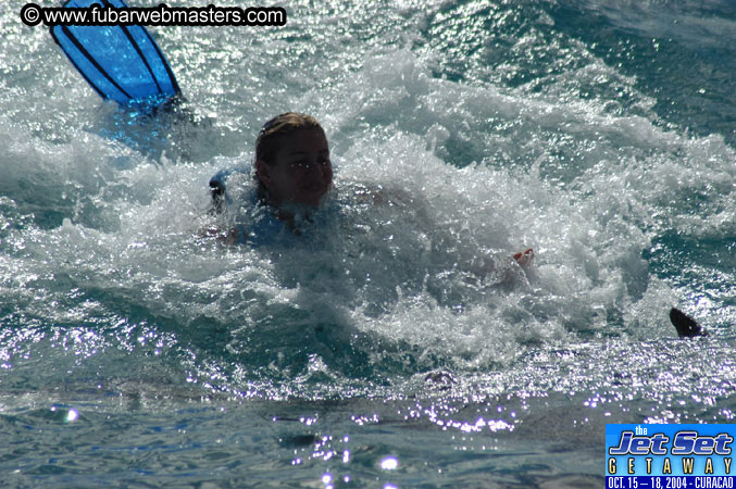 Sunday's Dolphin Swim Adventure and Animal Encounter 2004