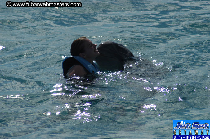 Sunday's Dolphin Swim Adventure and Animal Encounter 2004