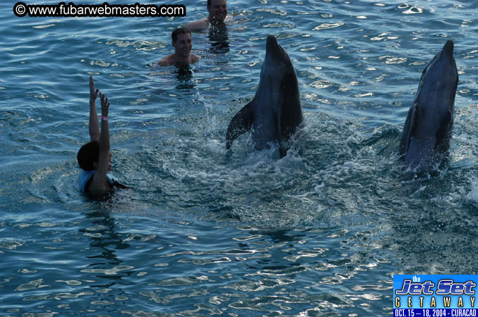 Sunday's Dolphin Swim Adventure and Animal Encounter 2004