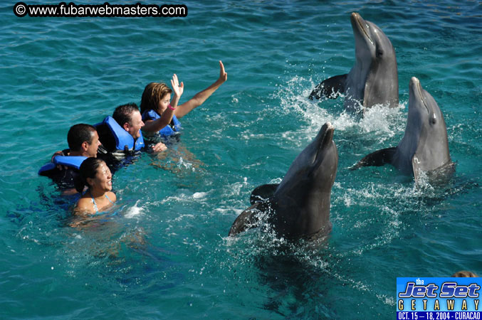 Sunday's Dolphin Swim Adventure and Animal Encounter 2004