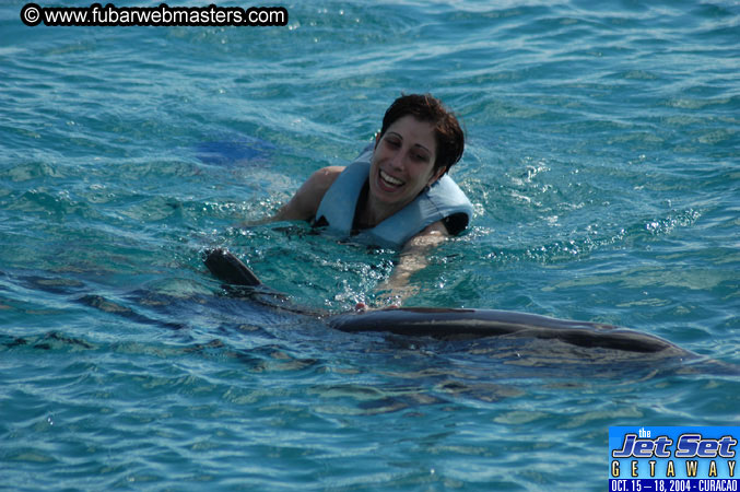 Sunday's Dolphin Swim Adventure and Animal Encounter 2004