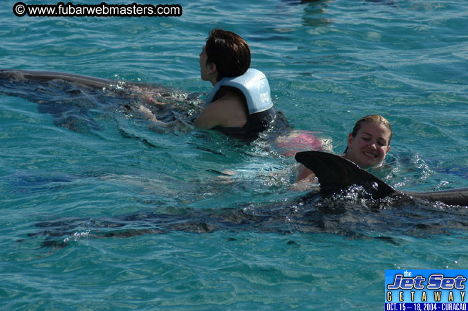 Sunday's Dolphin Swim Adventure and Animal Encounter 2004