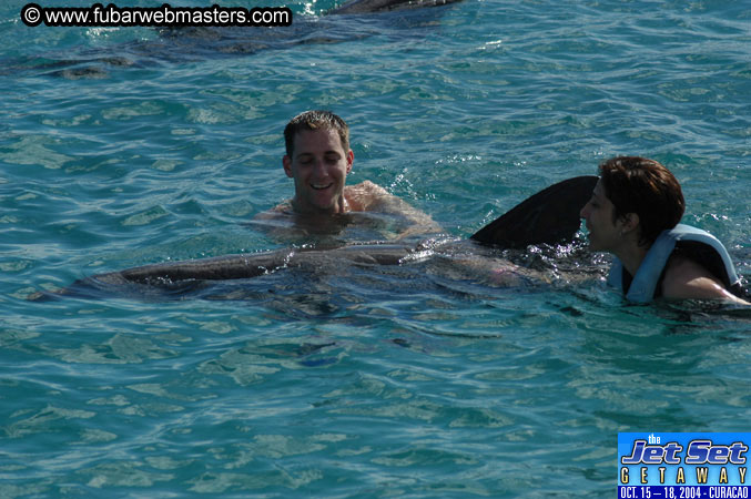 Sunday's Dolphin Swim Adventure and Animal Encounter 2004