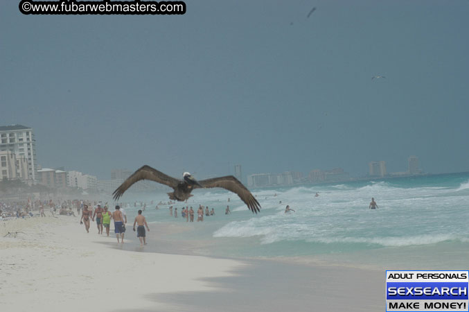 The Omni Hotel & Beach 2005