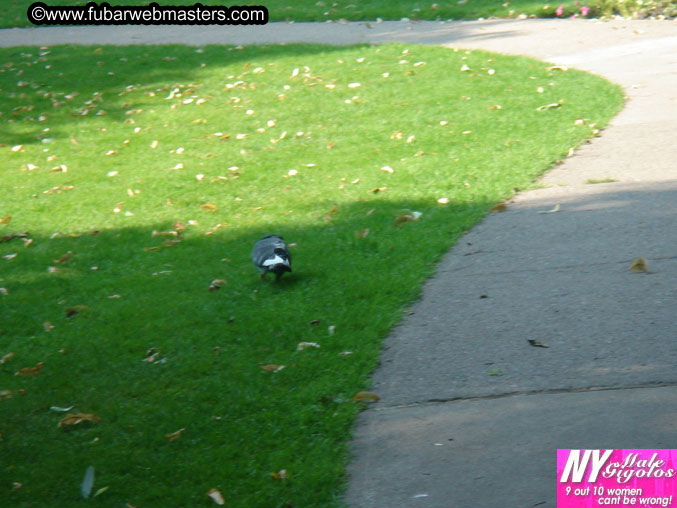 Copulation Conference 2005