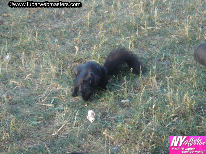 Copulation Conference 2005