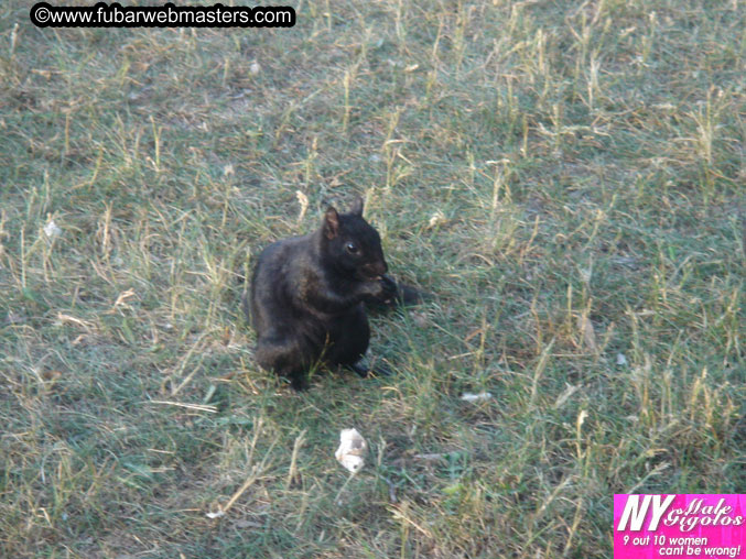 Copulation Conference 2005