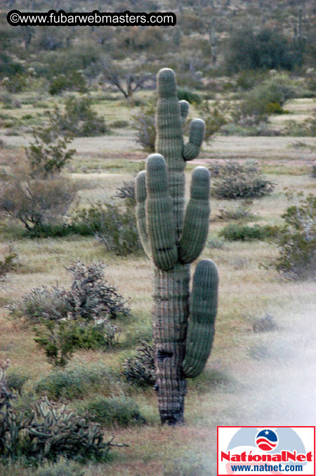 Hot Air Ballon Ride 2005