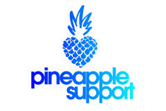 Pornhub Promotion & MojoHost Infrastructure Make 12/17 A Banner Day For Pineapple Support